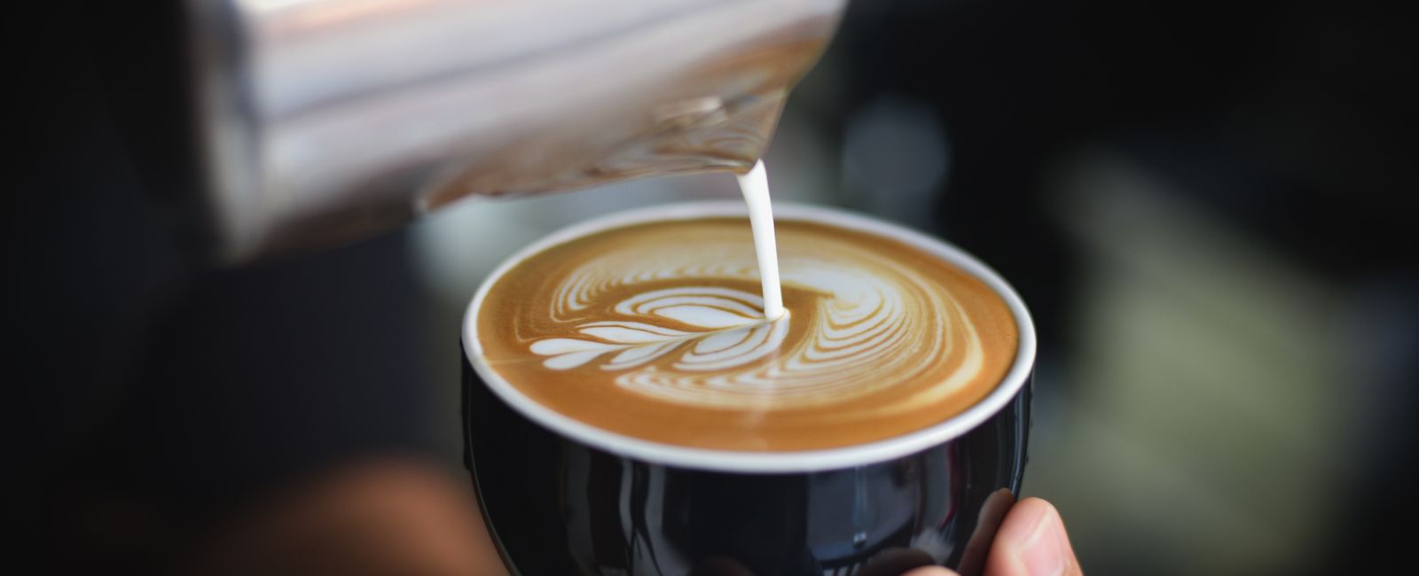 Sticky Fingers Coffee Shop counter and seating