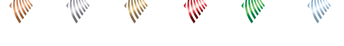 Bundaberg Waves Rewards level logos